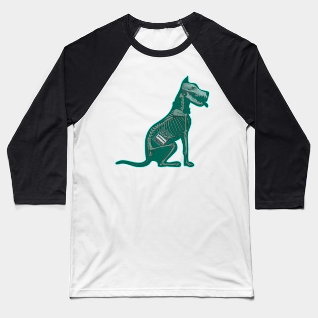 My Dog Ate My Homework Baseball T-Shirt by mikepod